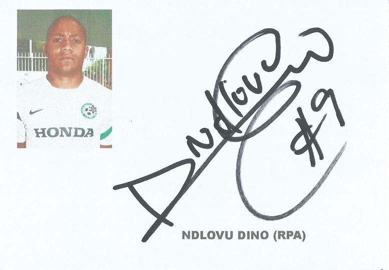 NDLOVU DINO